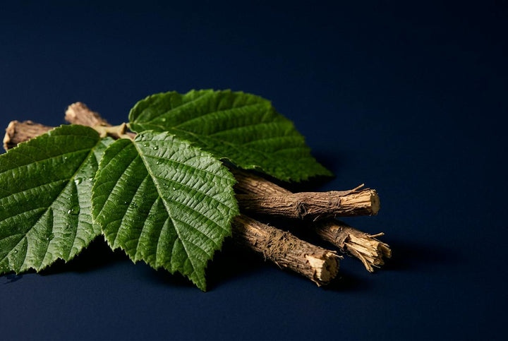 Witch hazel & licorice root