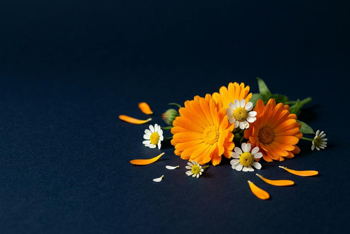 Calendula & chamomile