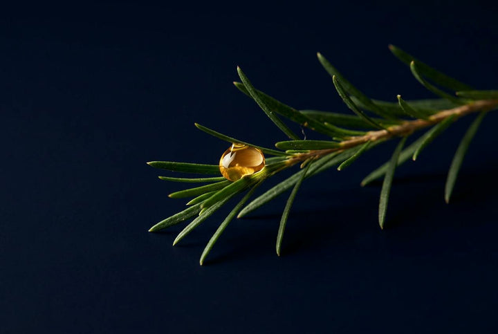 Tea tree oil